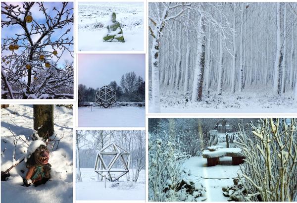 Winter collage 2016.jpg